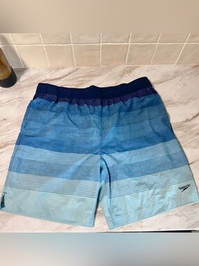 Speedo Blue Gradient Men's Swim Trunks